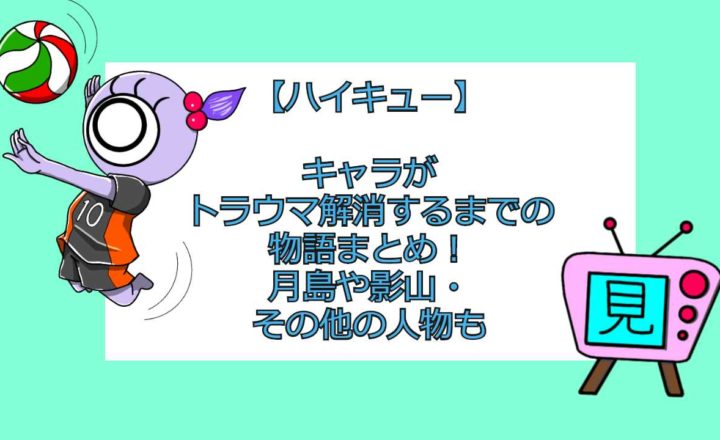 ハイキュー プロ入りメンバーまとめ Vリーグについても 見る見るワールド