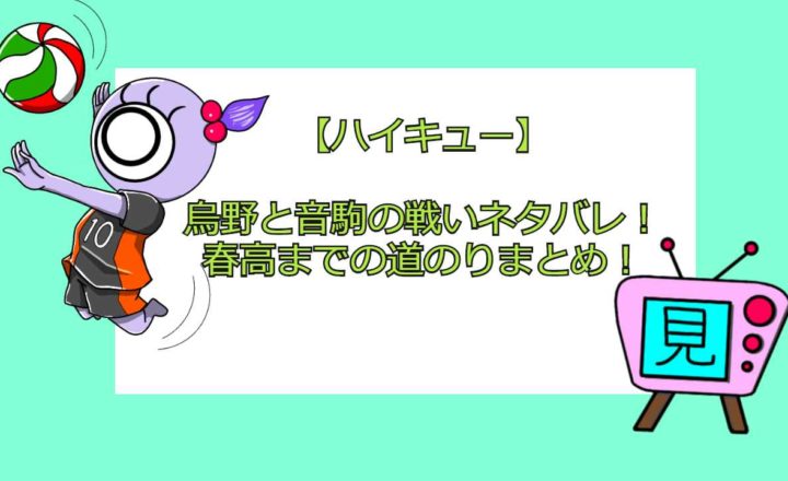 ハイキュー 戦績 試合結果一覧 試合内容についても 見る見るワールド