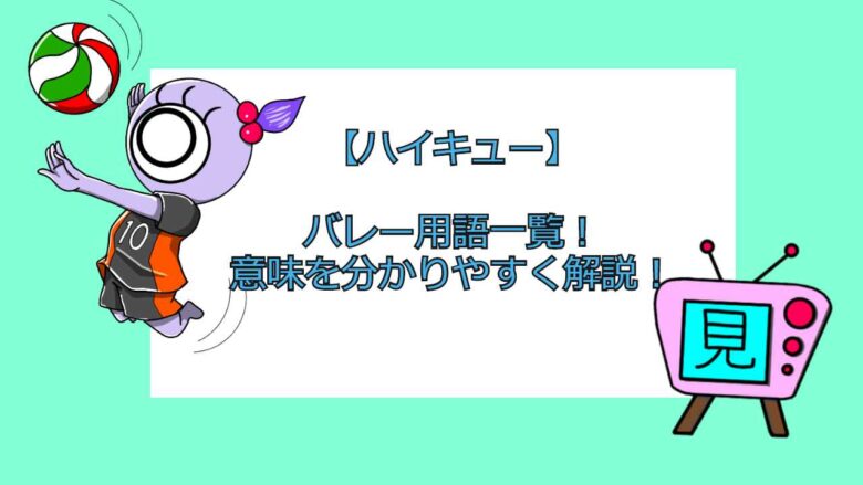 ハイキュー バレー用語一覧 意味を分かりやすく解説 見る見るワールド