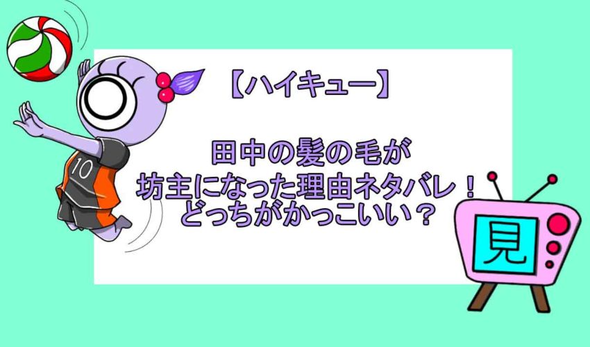 ハイキュー 田中は金髪だった 髪の毛を坊主にした理由についても 見る見るワールド