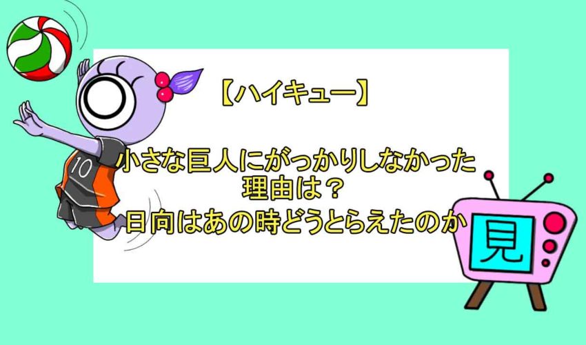 ハイキュー 小さな巨人にがっかりしなかった理由は 日向はあの時どうとらえたのか 見る見るワールド