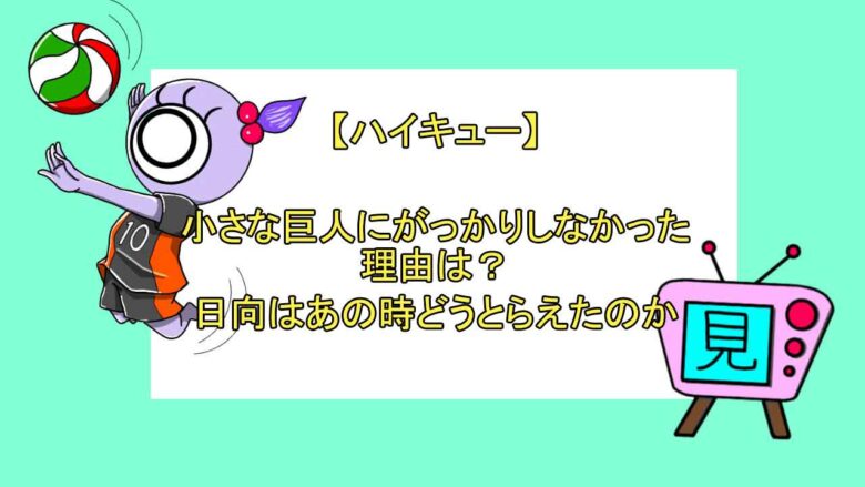 ハイキュー 小さな巨人にがっかりしなかった理由は 日向はあの時どうとらえたのか おすすめアニメ 見る見るワールド